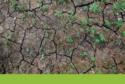 Giornata mondiale del Suolo: attività facili per la scuola primaria