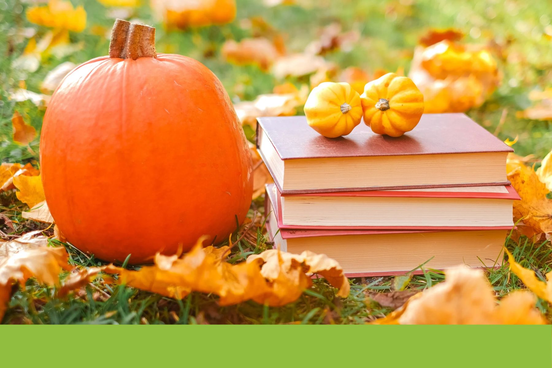 Halloween: storia, tradizioni e falsi miti